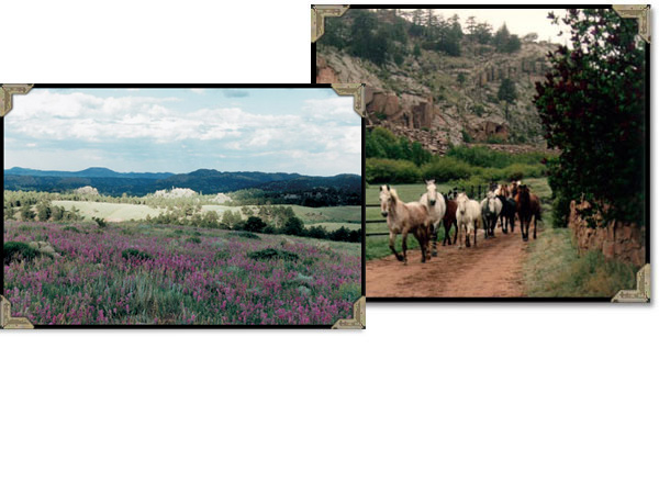 Children kids teens and western guest ranch horse vacation